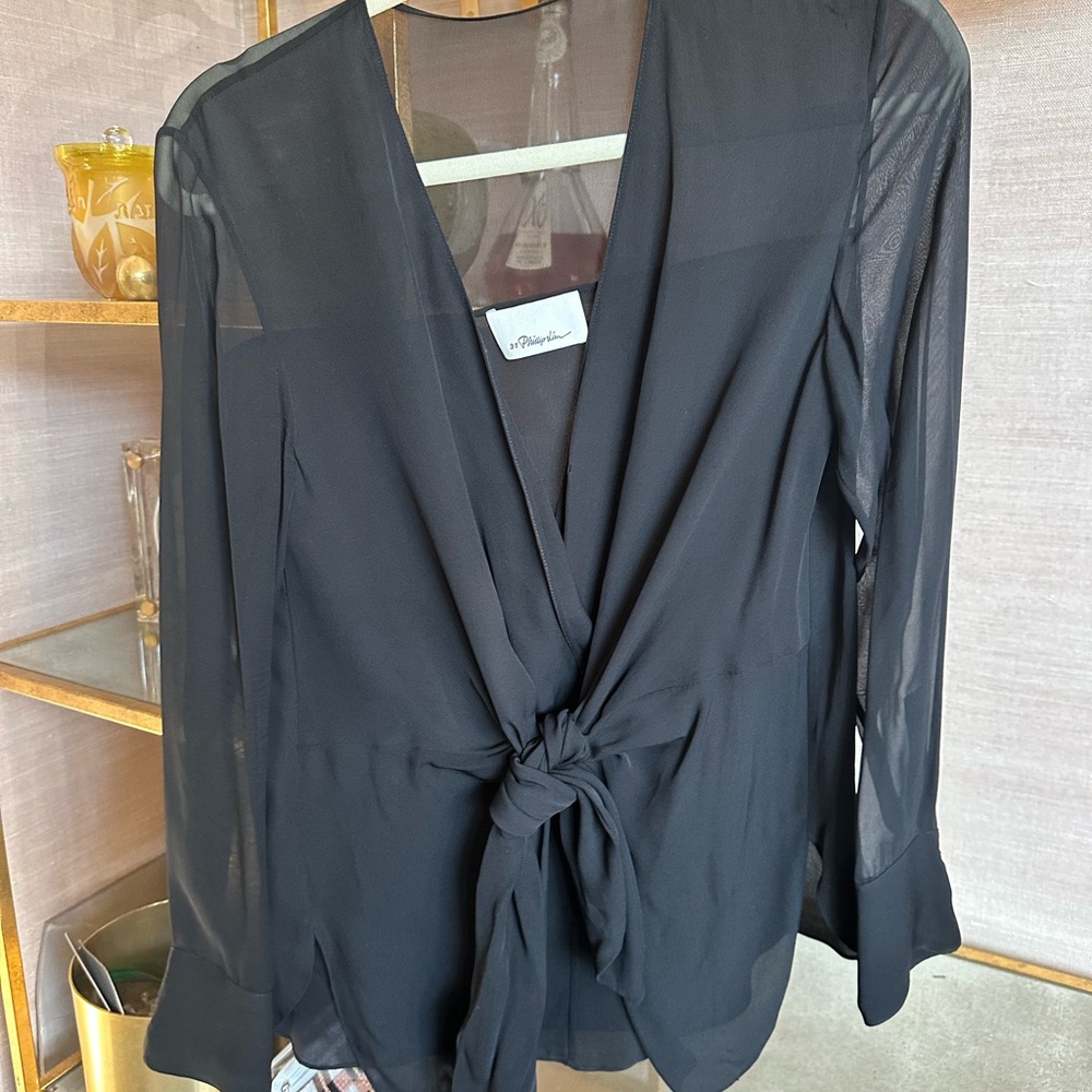 Black chiffon body and sheer sleeve blouse